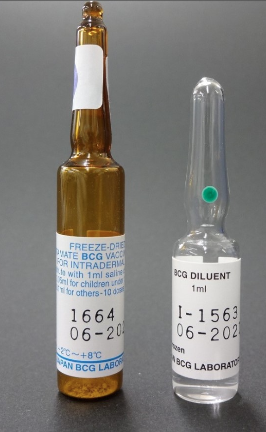 SII BCG Vaccine Freeze Dried Powder for Suspension Intradermal Injection of 250 mcg in 0.5 mL Ampoule + Diluent 1's
