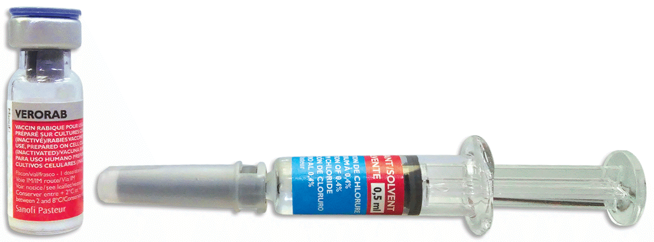 Verorab (Inactivated Purified Rabies Vaccine from Vero Cells) (2.5 IU/0.5mL) Suspension for IM Injection in 0.5mL Glass Vial 1's