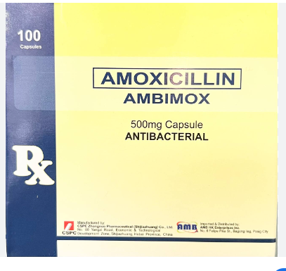 Ambimox ( Amoxicillin 500 mg capsule )