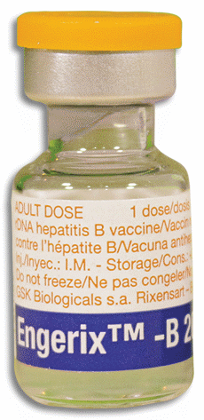 Engerix (Absorbed Hepatitis B (rDNA)) (20Ug) Adult Suspension for IM Injection in 1mL Glass Vial 1's