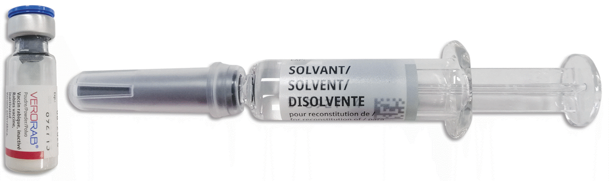 Verorab (Inactivated Purified Rabies Vaccine from Vero Cells)