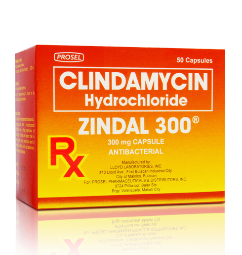 Zindal (Clindamycin) (Capsule (300 mg))